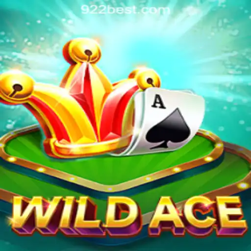 Discover the Thrills of WildAce: A Premier Gaming Experience
